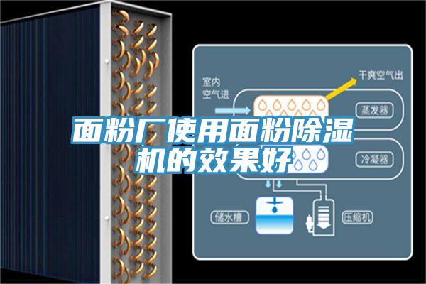 面粉厂使用面粉除湿机的效果好