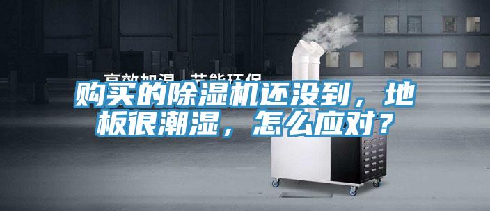 购买的除湿机还没到，地板很潮湿，怎么应对？
