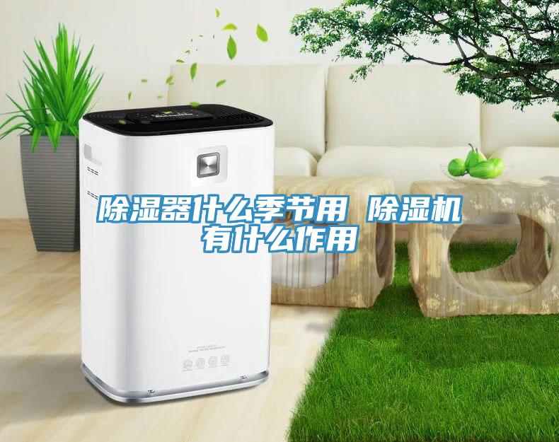 除湿器什么季节用 除湿机有什么作用