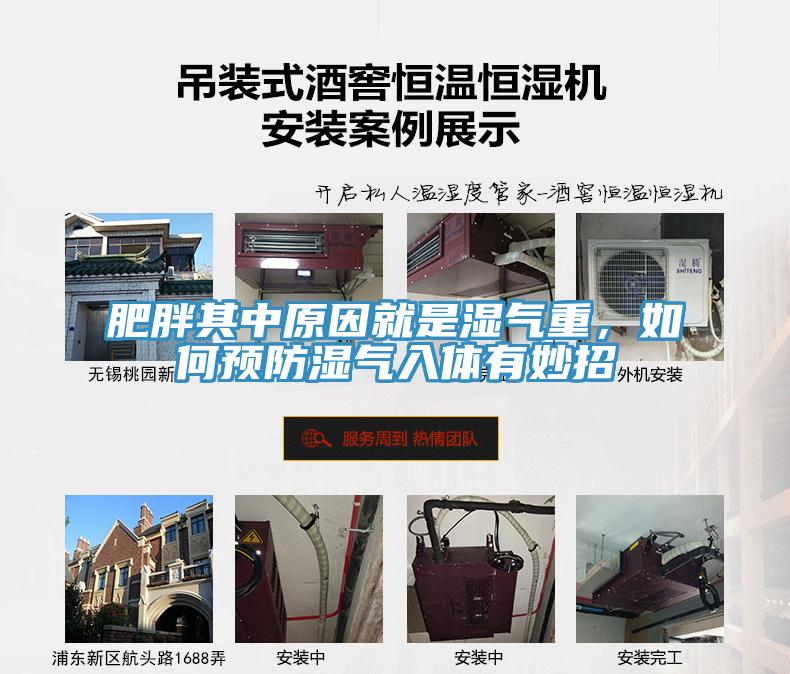 肥胖其中原因就是湿气重，如何预防湿气入体有妙招