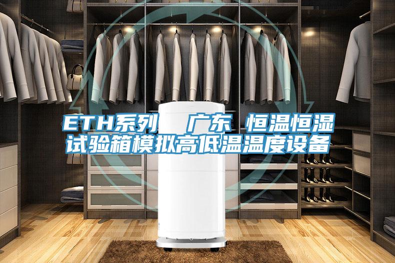 ETH系列  广东 恒温恒湿试验箱模拟高低温温度设备