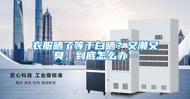 衣服晒了等于白晒？又潮又臭，到底怎么办…