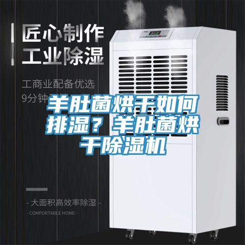 羊肚菌烘干如何排湿？羊肚菌烘干除湿机