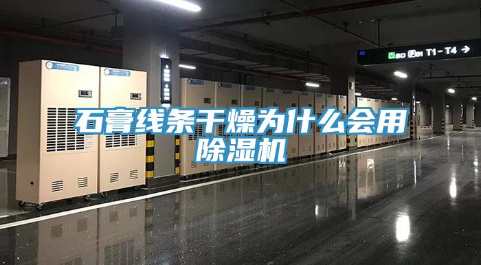 石膏线条干燥为什么会用除湿机