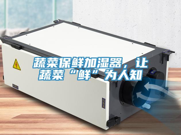 蔬菜保鲜加湿器，让蔬菜“鲜”为人知