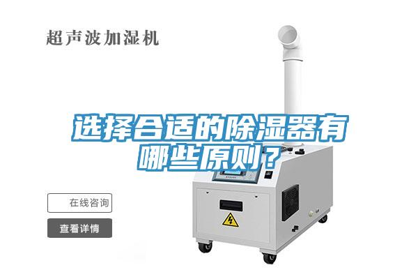 选择合适的除湿器有哪些原则？