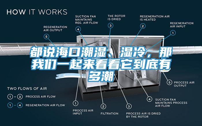 都说海口潮湿、湿冷，那我们一起来看看它到底有多潮