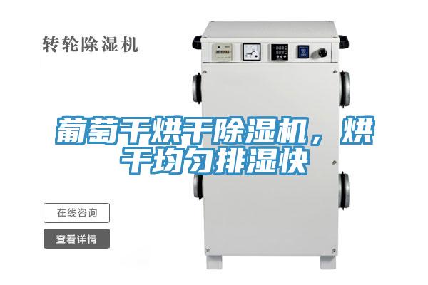 葡萄干烘干除湿机，烘干均匀排湿快