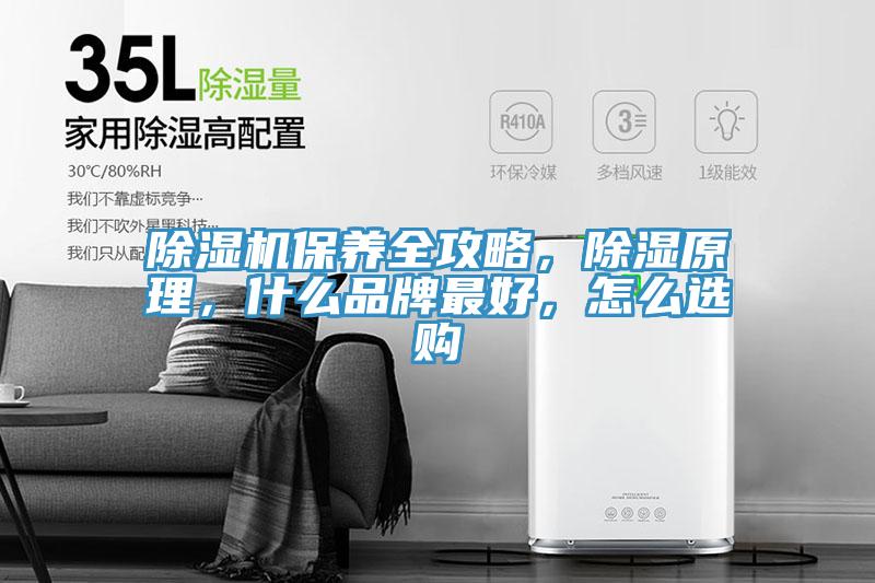 除湿机保养全攻略，除湿原理，什么品牌最好，怎么选购