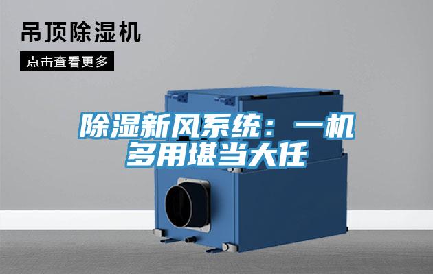 除湿新风系统：一机多用堪当大任