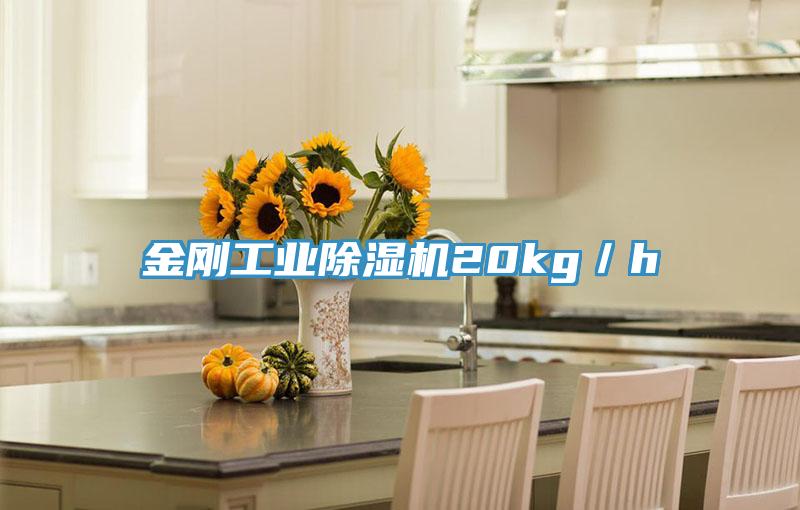 金刚工业除湿机20kg／h