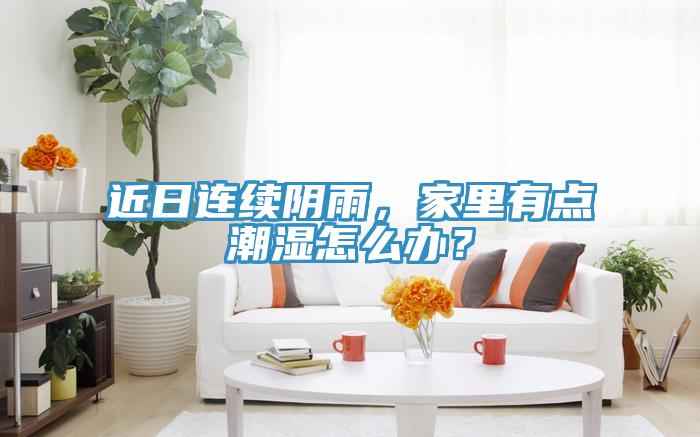 近日连续阴雨，家里有点潮湿怎么办？