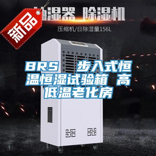 BRS  步入式恒温恒湿试验箱 高低温老化房