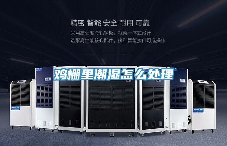 鸡棚里潮湿怎么处理
