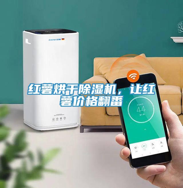 红薯烘干除湿机，让红薯价格翻番