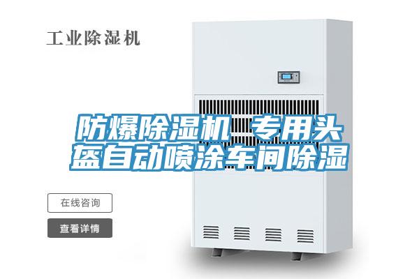 防爆除湿机 专用头盔自动喷涂车间除湿