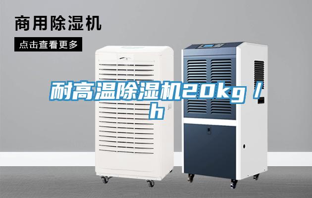 耐高温除湿机20kg／h