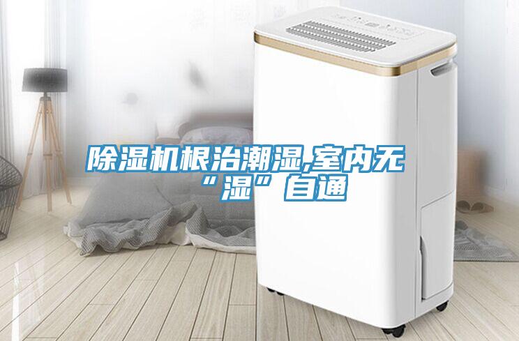 除湿机根治潮湿,室内无“湿”自通