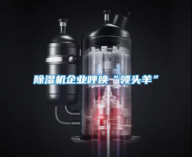 除湿机企业呼唤“领头羊”