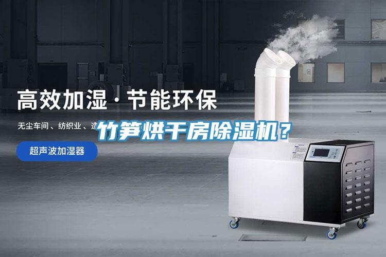 竹笋烘干房除湿机？