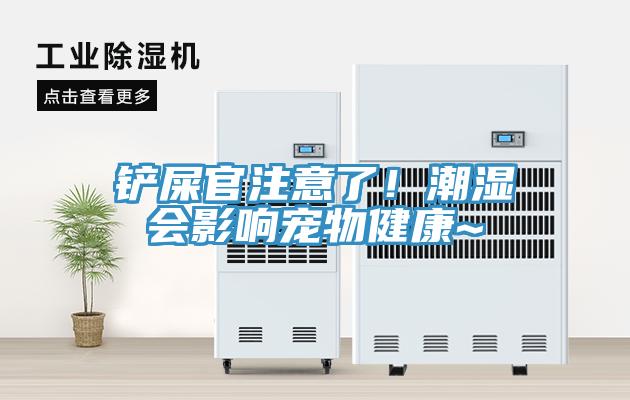 铲屎官注意了！潮湿会影响宠物健康~