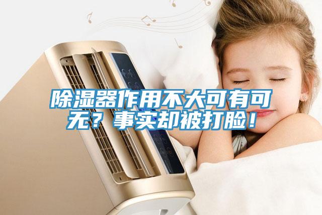 除湿器作用不大可有可无？事实却被打脸！