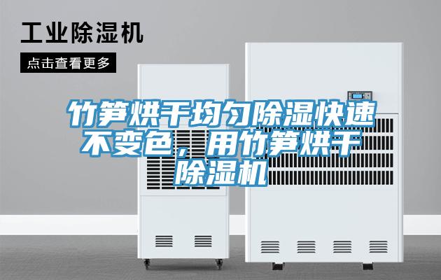 竹笋烘干均匀除湿快速不变色，用竹笋烘干除湿机