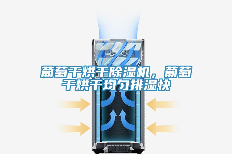 葡萄干烘干除湿机，葡萄干烘干均匀排湿快