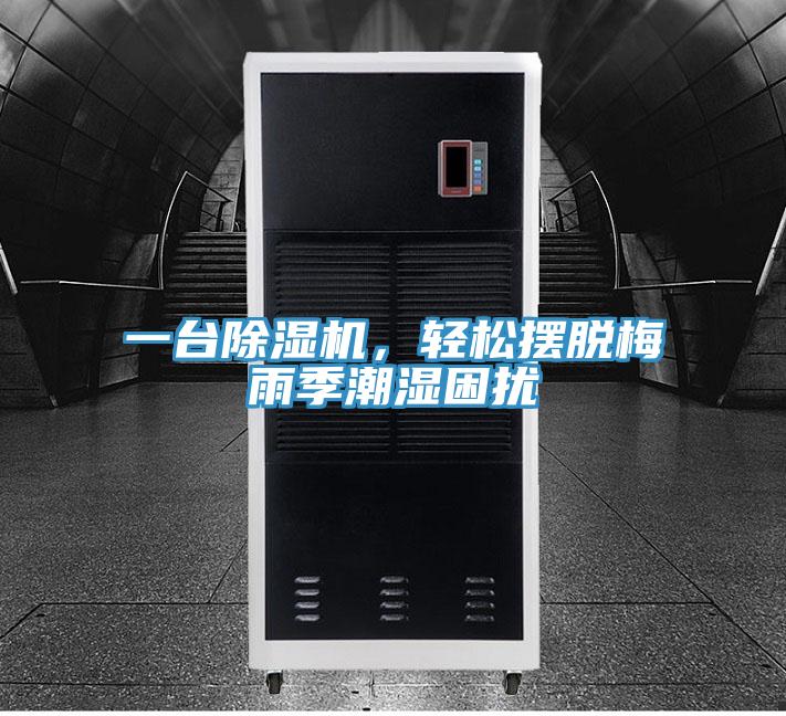一台除湿机，轻松摆脱梅雨季潮湿困扰