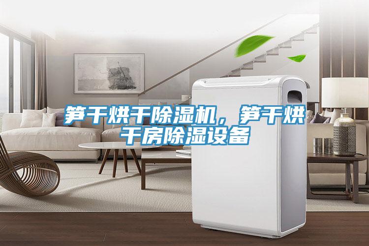 笋干烘干除湿机，笋干烘干房除湿设备