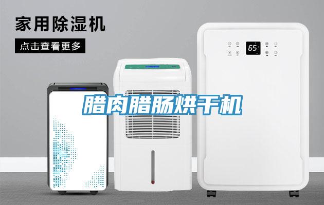 腊肉腊肠烘干机