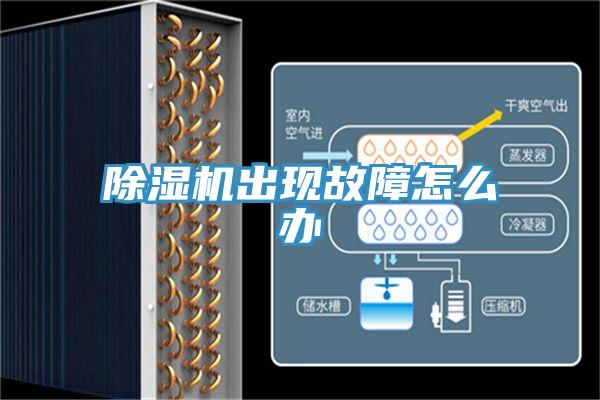 除湿机出现故障怎么办
