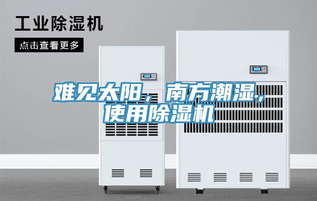 难见太阳，南方潮湿，使用除湿机