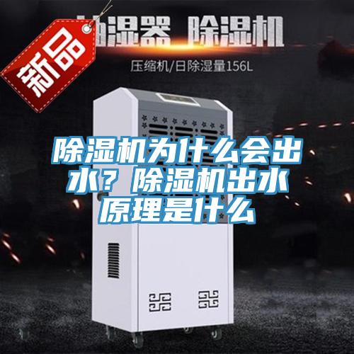 除湿机为什么会出水？除湿机出水原理是什么