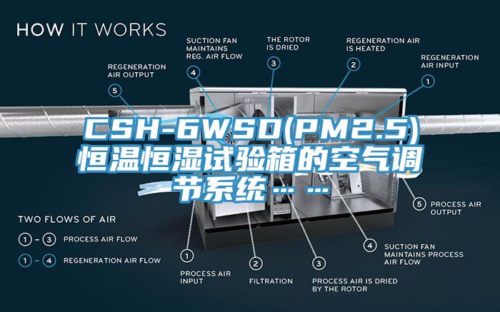 CSH-6WSD(PM2.5)恒温恒湿试验箱的空气调节系统……