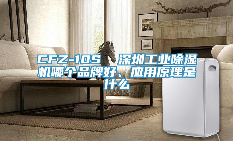 CFZ-10S  深圳工业除湿机哪个品牌好、应用原理是什么