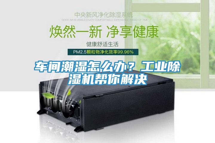车间潮湿怎么办？工业除湿机帮你解决