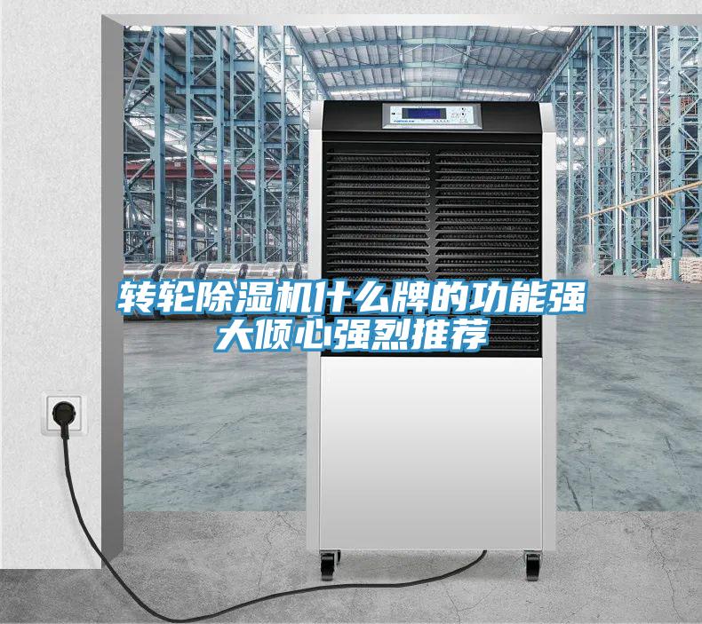 转轮除湿机什么牌的功能强大倾心强烈推荐