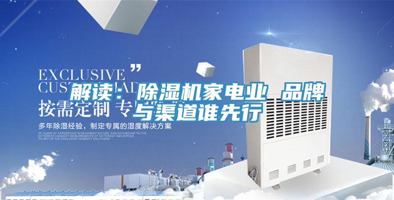 解读：除湿机家电业 品牌与渠道谁先行