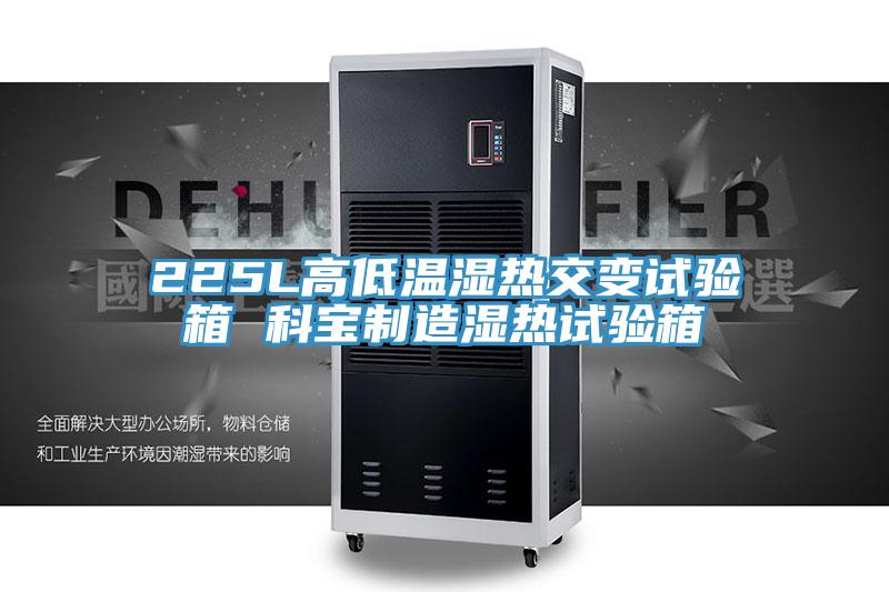 225L高低温湿热交变试验箱 科宝制造湿热试验箱