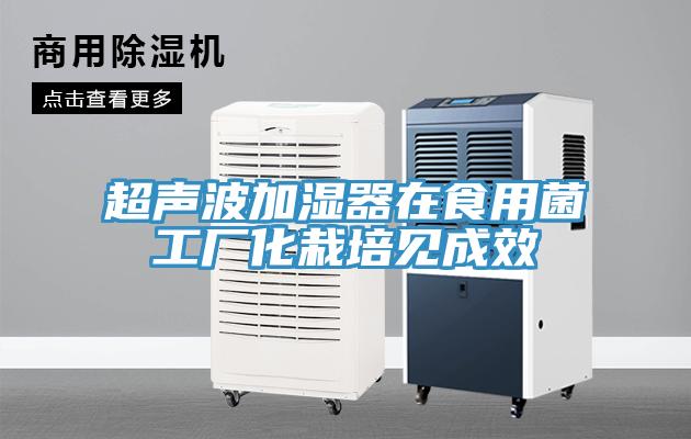 超声波加湿器在食用菌工厂化栽培见成效