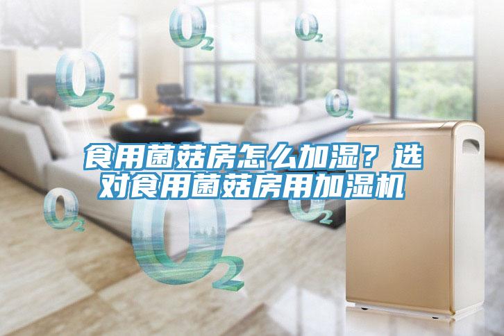 食用菌菇房怎么加湿？选对食用菌菇房用加湿机