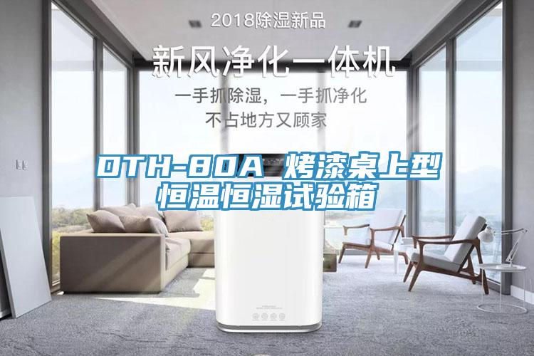 DTH-80A 烤漆桌上型恒温恒湿试验箱