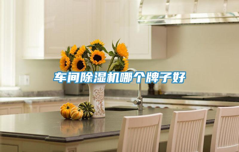 车间除湿机哪个牌子好