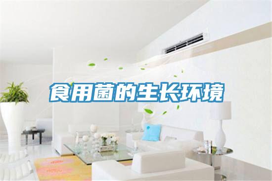 食用菌的生长环境