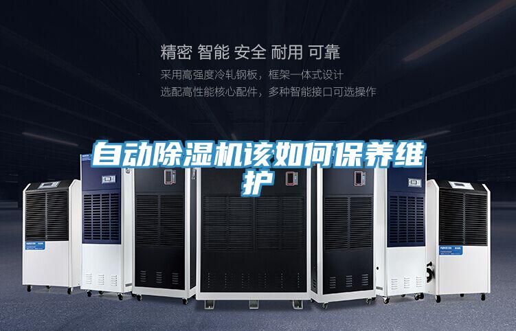 自动除湿机该如何保养维护
