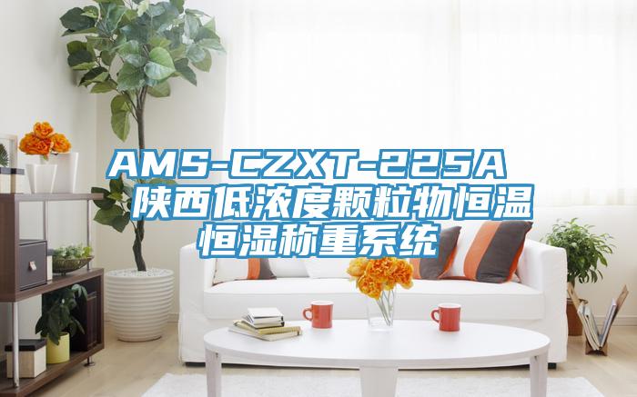 AMS-CZXT-225A  陕西低浓度颗粒物恒温恒湿称重系统