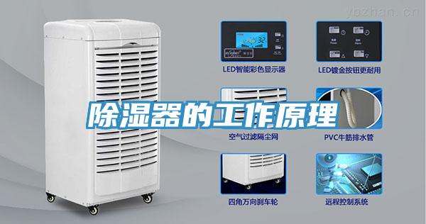 除湿器的工作原理