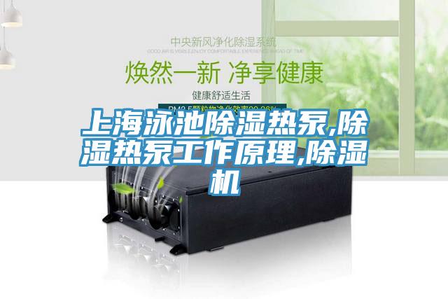 上海泳池除湿热泵,除湿热泵工作原理,除湿机