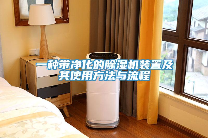 一种带净化的除湿机装置及其使用方法与流程